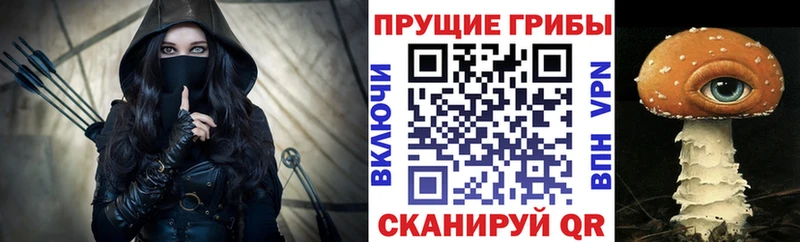 купить   Касимов  Псилоцибиновые грибы ЛСД 
